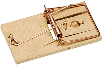 Symbolbild fuer typische Fallen bei der Fuehrerscheinakte